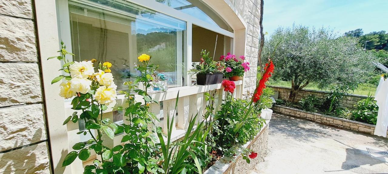 Apartments Darija & Pero بوتشيتشا المظهر الخارجي الصورة